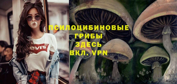 трава Володарск