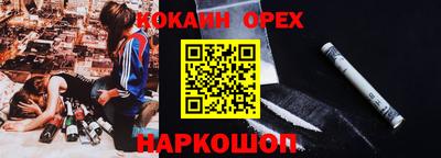 шишки Аргун