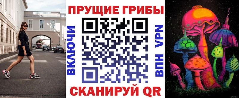 Псилоцибиновые грибы мицелий  Купить закладки  Геленджик 
